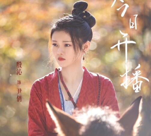 宋慈韶華錄尹俏扮演者殷沁個人資料介紹