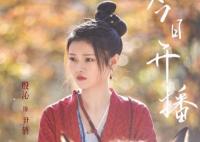 宋慈韶華錄尹俏是好的還是壞的