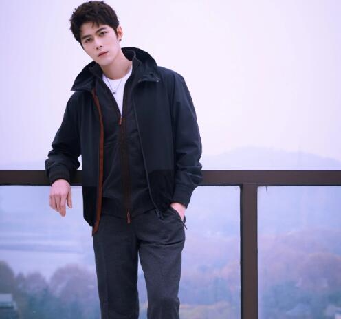 陳學(xué)冬主演的電視劇有哪些