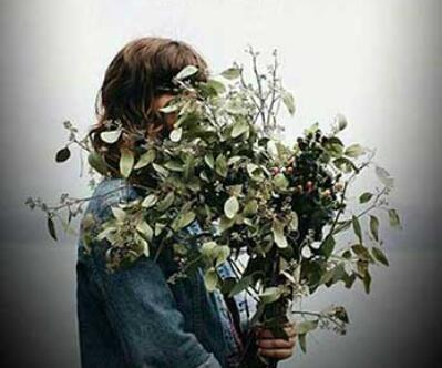 人生若如初見下一句是什么呢