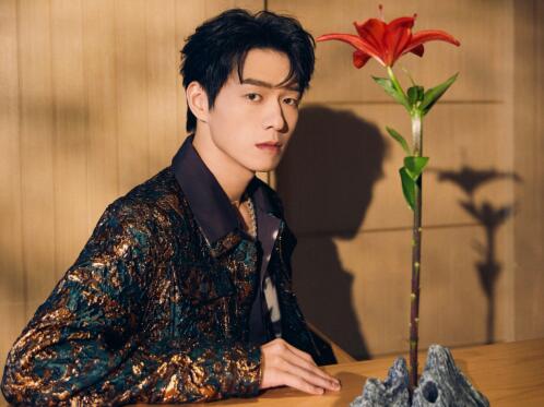 魏大勛主演的電視劇有哪些