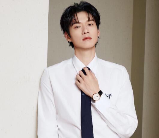 魏大勛主演的電視劇有哪些