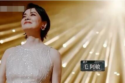 聲生不息家年華毛阿敏退出了嗎