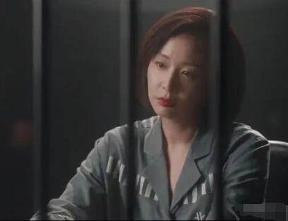 獵罪圖鑒褚英子案講了什么