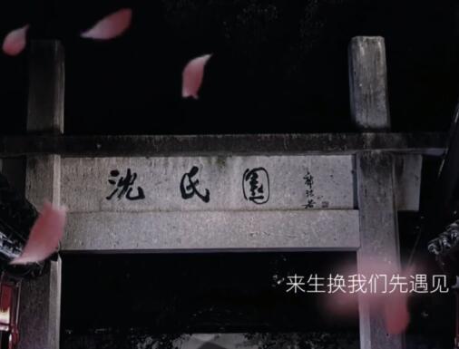 沈園外和失余年的區(qū)別是什么