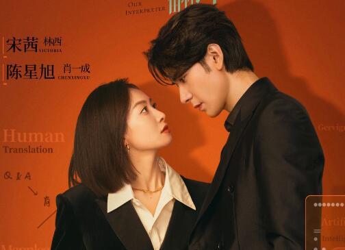 我們的翻譯官有原著小說嗎