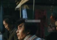 繁花中有胡歌老婆黃曦寧嗎