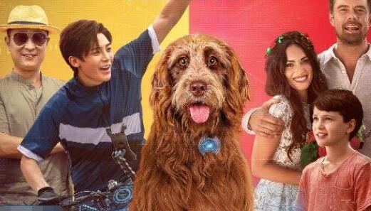 家有兒女之神犬當家什么時候上映