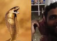 印度男子遭蛇咬兩口后反咬蛇三口 內(nèi)幕曝光簡直太意外了