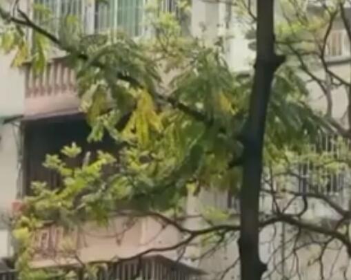 女子180萬賣掉杭州房子120萬買回 究竟是怎么回事？