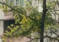 女子180萬賣掉杭州房子120萬買回 究竟是怎么回事？