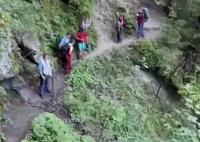 羅馬尼亞女孩被熊扔下懸崖 內(nèi)幕曝光簡直太意外了