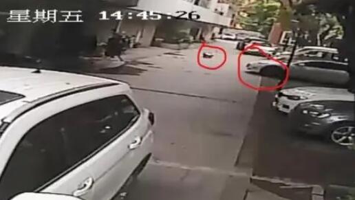 5歲女童小區(qū)內玩耍時被碾壓致死 究竟是怎么回事？