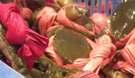 男子60元買(mǎi)螃蟹20元是繩 這太無(wú)語(yǔ)了