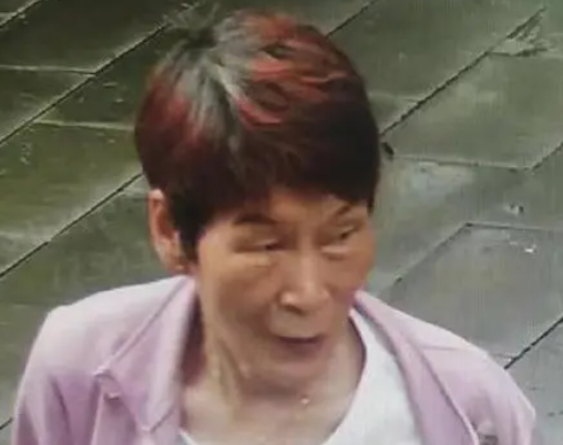 余華英涉拐賣(mài)兒童數(shù)量增至17人 背后真相實(shí)在讓人驚愕