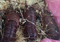 杭州有海鮮老板7天入賬200萬(wàn)元 這也太夸張了