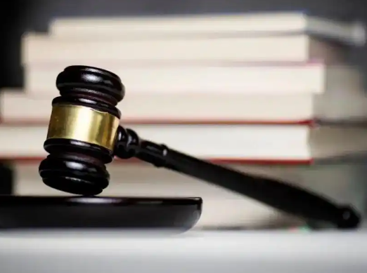 小孩被天降烏龜砸死 飼主判賠128萬 究竟是怎么回事？