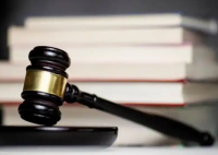 烏龜墜樓砸死幼童 飼主判賠128萬 究竟是怎么回事？