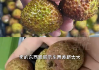 8歲男孩花1萬(wàn)多網(wǎng)購(gòu)26箱荔枝 畫(huà)面曝光簡(jiǎn)直不忍直視