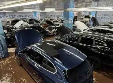 暴雨致重慶一車(chē)行近90臺(tái)車(chē)輛被淹 背后真相實(shí)在讓人驚愕