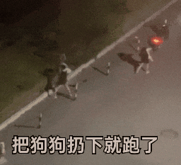 小狗遭主人2次扔棄哀嚎仍被遺棄 究竟是怎么回事？