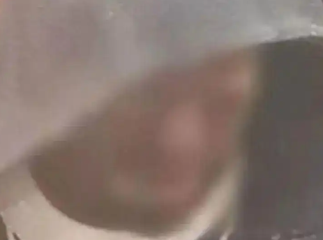 澳男子頭部中槍被活埋 奇跡爬出墳?zāi)?到底是不是真的？