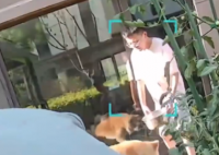 朋友用狗喝水的盆澆花被狗撕咬 內(nèi)幕實在讓人驚個呆