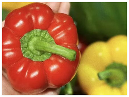 女子跟風(fēng)生吃彩椒碗感染鉤蟲 經(jīng)驅(qū)蟲治療后康復(fù)