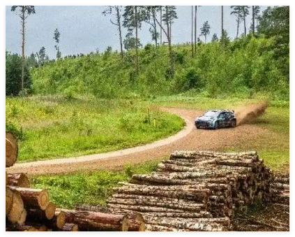 法國一賽車沖出賽道 3名觀眾身亡 實在太悲劇了