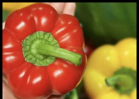 女子跟風(fēng)生吃彩椒碗感染鉤蟲 經(jīng)驅(qū)蟲治療后康復(fù)