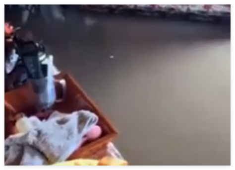 女子住蒙古包 一覺醒來(lái)洪水淹到床板 原因竟是這樣太崩潰了