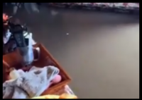 女子住蒙古包 一覺醒來洪水淹到床板 原因竟是這樣太崩潰了