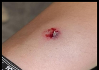 司機等紅燈向路人射鋼珠致4人受傷 背后真相實在讓人驚愕