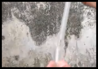 廣東滅蚊next level:放蚊子吃蚊子 事件始末2025最新消息