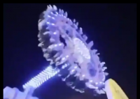 沙特游樂場“大擺錘”突然斷裂 為什么斷裂什么原因？