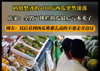 約400公斤西瓜堆放時(shí)坍塌摔壞 簡(jiǎn)直太讓人心疼