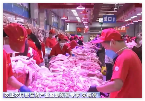 豬肉大漲大跌 豬企開始給豬減肥了 事件始末2025最新消息