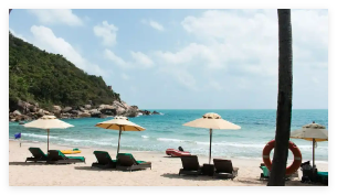 三亞7199元一晚的酒店蟲子成群 為什么這么多蟲子？