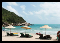 三亞7199元一晚的酒店蟲子成群 為什么這么多蟲子？