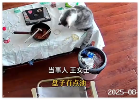 3萬金鐲子被貓推進垃圾桶后扔了 到底是什么情況？