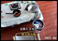 3萬金鐲子被貓推進(jìn)垃圾桶后扔了 到底是什么情況？