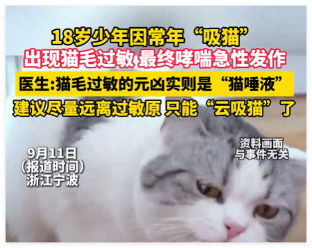 男孩常年“吸貓”致哮喘急性發(fā)作 究竟是怎么回事？