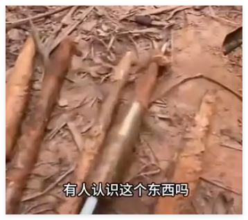 養(yǎng)豬場丟失20多頭豬發(fā)現(xiàn)多支箭頭 到底是什么情況？