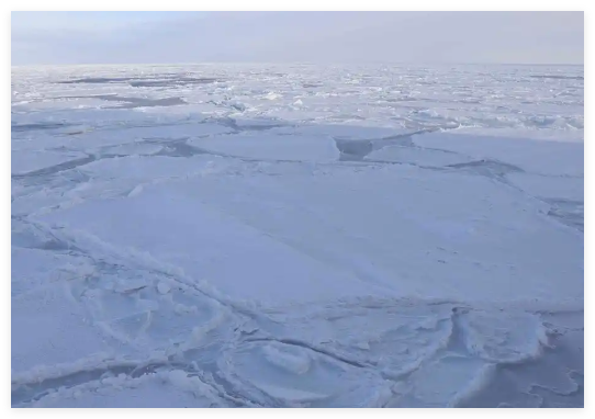 研究:南極海底甲烷滲出速度驚人 真相簡直太意外了