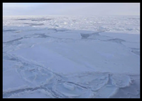 研究:南極海底甲烷滲出速度驚人 內(nèi)幕實(shí)在讓人驚個(gè)呆