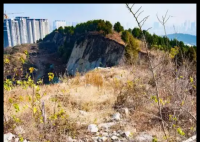 “摸金校尉”在村里租房3年秘密尋墓 事件始末2025最新消息