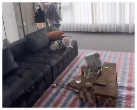 90后小伙花7000元裝修入住毛坯房 內幕曝光簡直太意外了